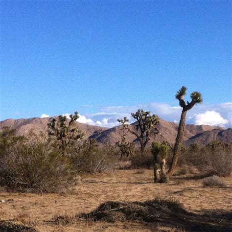 Desert Landscape Lancaster Ca