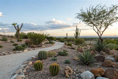 Desert Landscape Plans