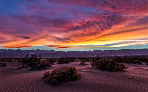 Desert Landscape Sunset