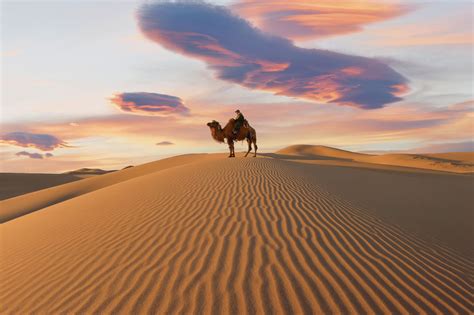 Desert Landscapes In The World