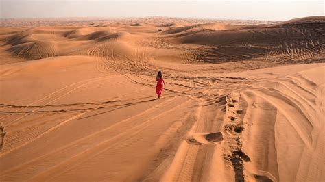 Desert Safari Photography