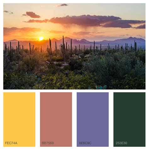 Desert Sunset Colors
