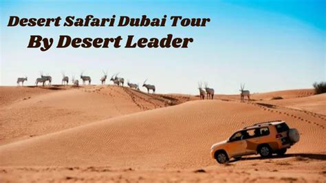 Desert Tour High Points