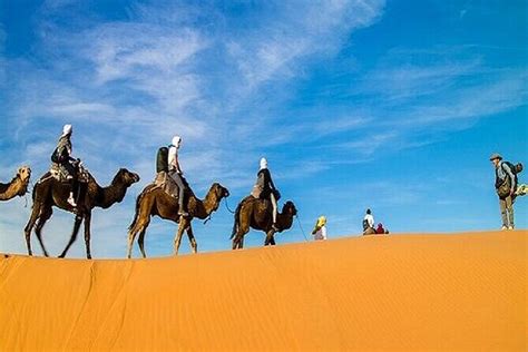 Desert Tour Logistics