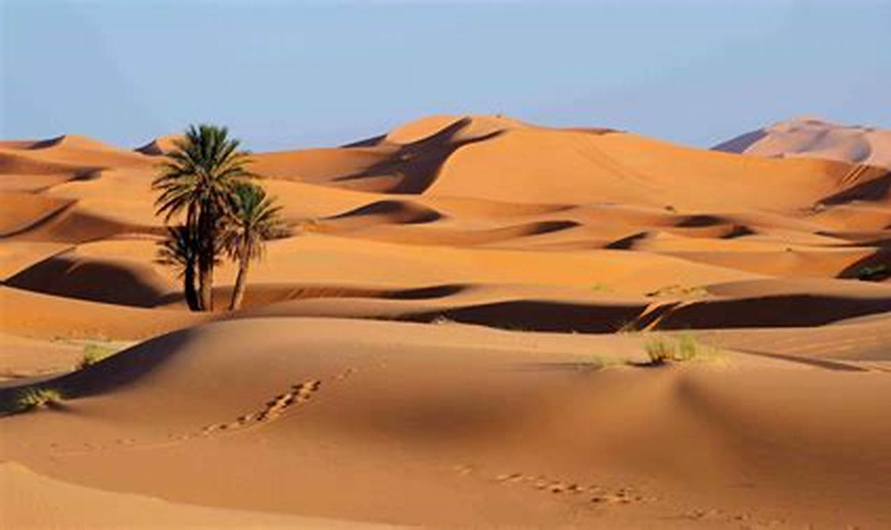 Deserto Del Sahara Le Caratteristiche