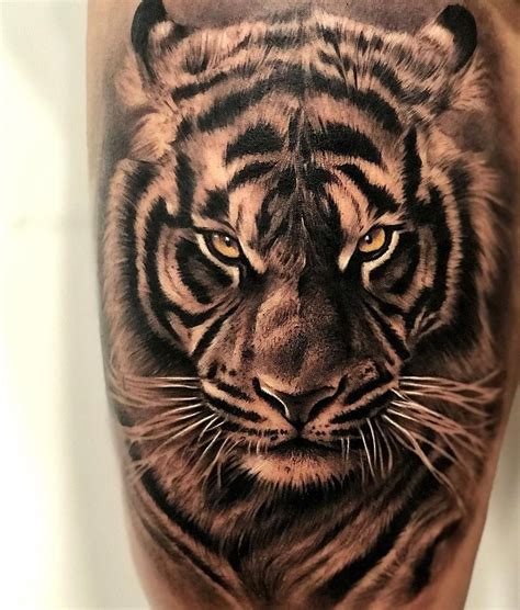 Design Tiger Tattoo