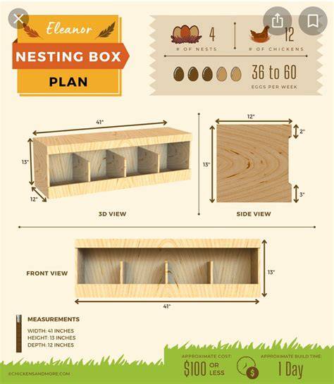 Designing Your DIY Nesting Box: Size and Shape Matters