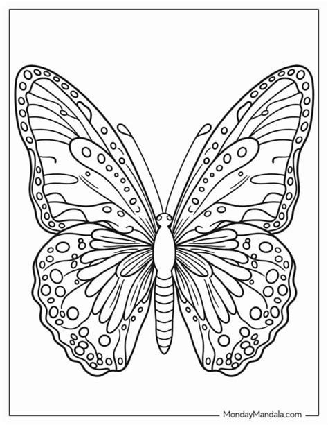 Detailed Coloring Pages For Adults Printable Butterfly And Rock