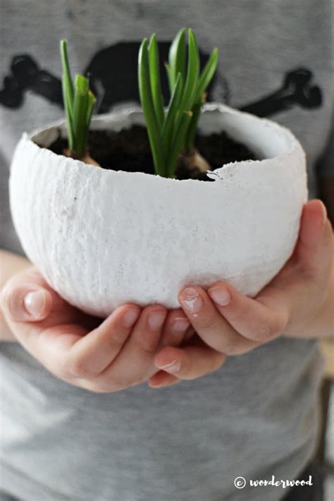 Detailed Steps for Creating a Plaster Egg