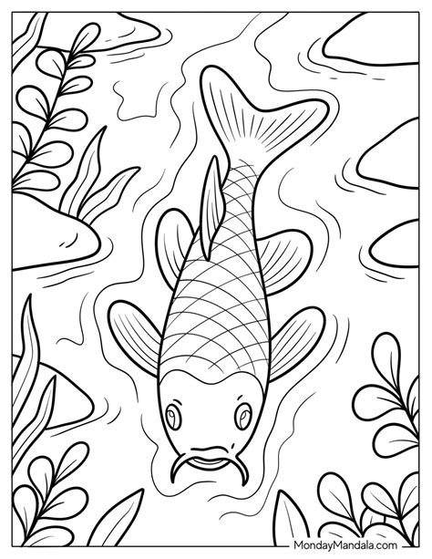 Detailed Tropical Fish Printables