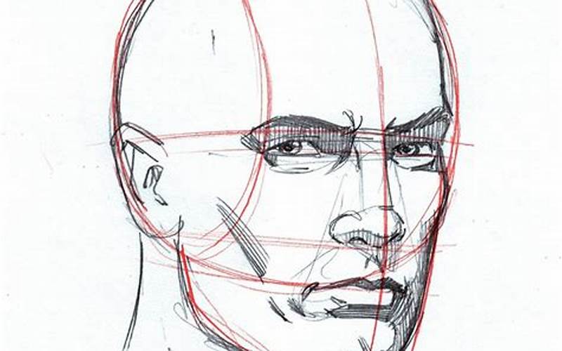 Details To The Head Drawing