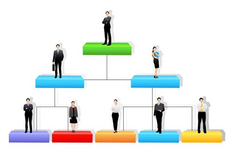 Determine your Business Structure