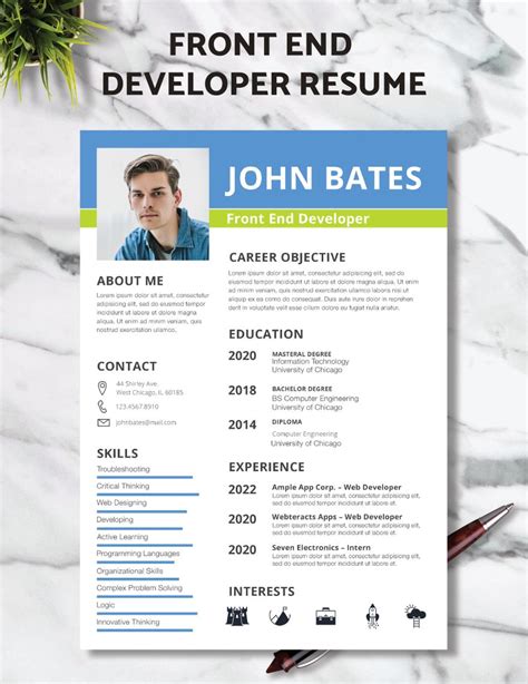 Developer Resume Template Pages