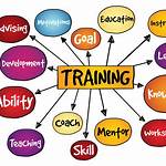 Developing Effective Training Programs and Materials