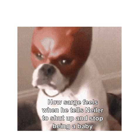 Devil Dog Meme