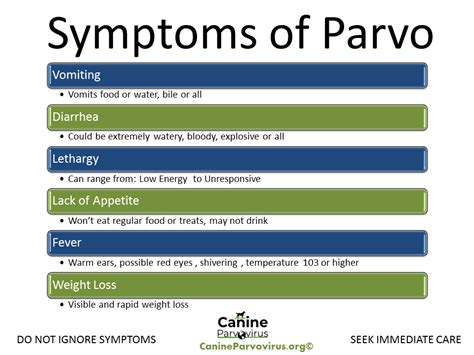 Diagnosis of Parvo in Dogs