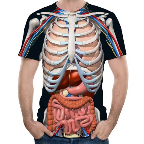 Human Male anatomy model with internal organs with 4K