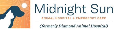 Top-quality Veterinary Care for Your Beloved Pet at Diamond Animal Hospital Anchorage, AK