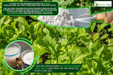 Diatomaceous Earth Application