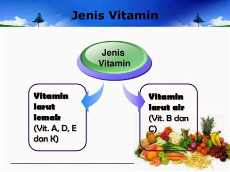 Dibawah Ini Merupakan Jenis Vitamin Berdasarkan Kelarutannya Adalah