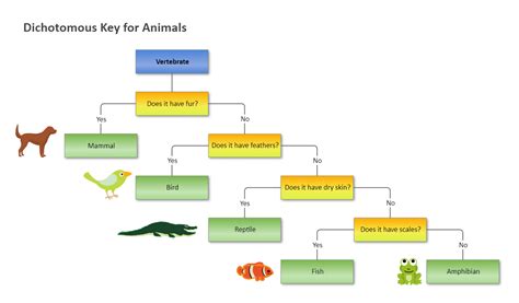 Decoding Nature: Understanding Dichotomous Key in Biology