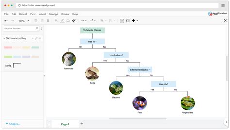 Dichotomous Key Maker Online