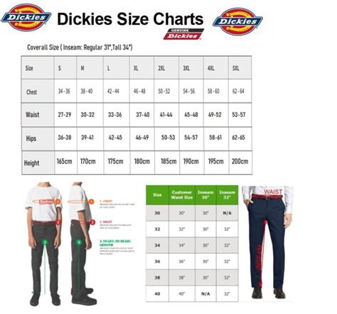 Dickies Size Chart Pants