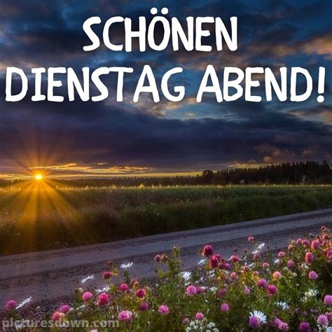 Dienstag Abend Bilder