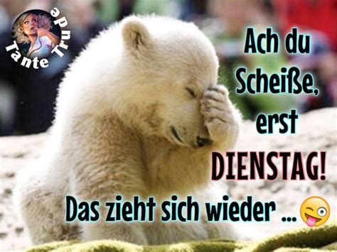 Dienstag Bilder Lustig