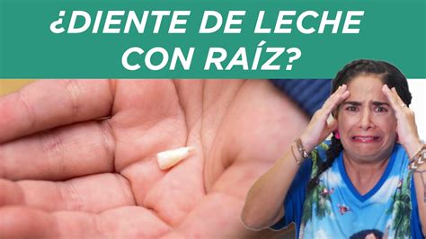 ¿Sabías que…? Los dientes de leche... - Más que Dientes