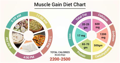 Diet Chart For Gym Muscle Gain