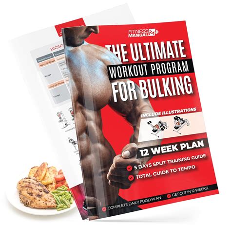 Diet Program Bulking 12 Minggu