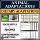 Dietary Adaptations