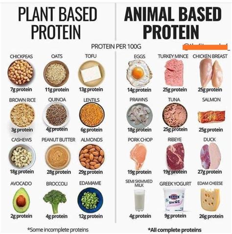 Dietary Sources of Protein for Glute Growth
