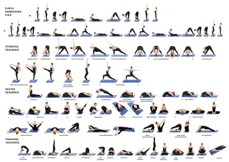 Différents Types de Yoga