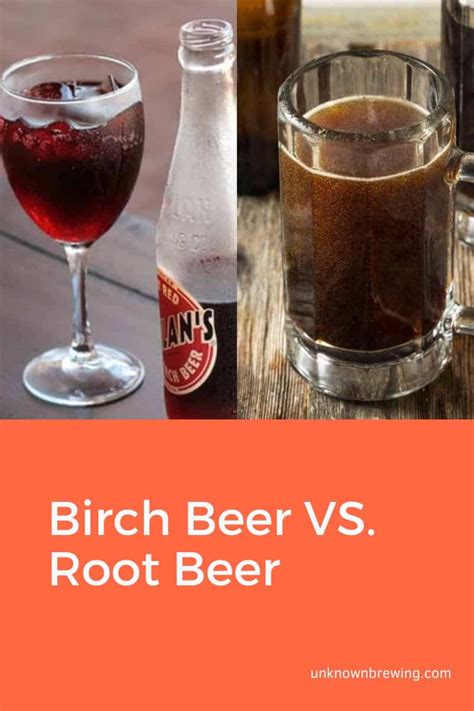 Difference Between Birch Beer And Root Beer