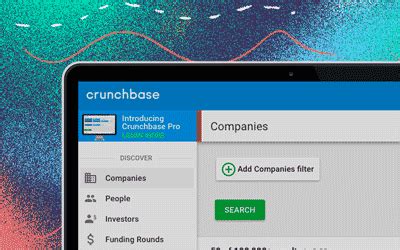 Difference Between CrunchBase Basics and CrunchBase Pro