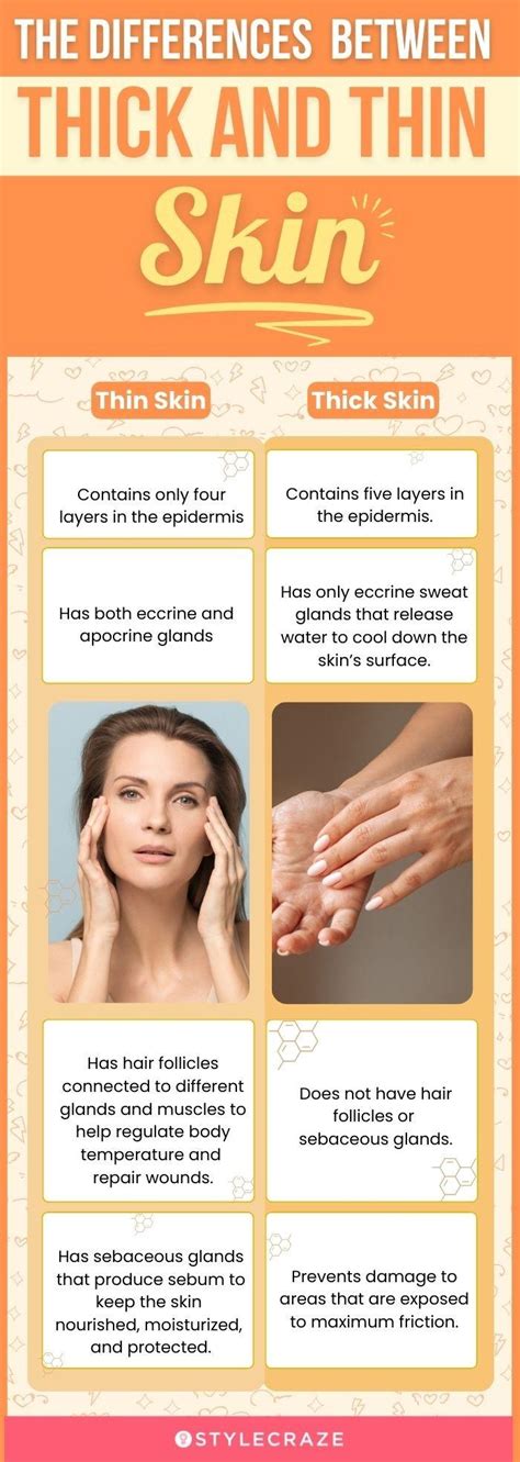 Uncovering the Layers: The Fascinating Differences between Thin and Thick Skin