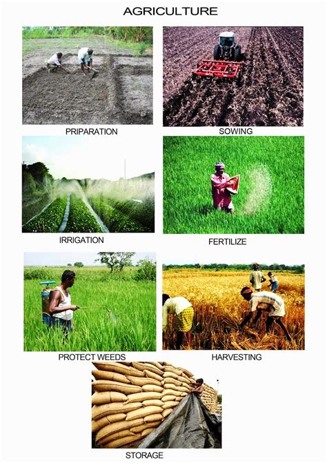 Differences in Agricultural Practices