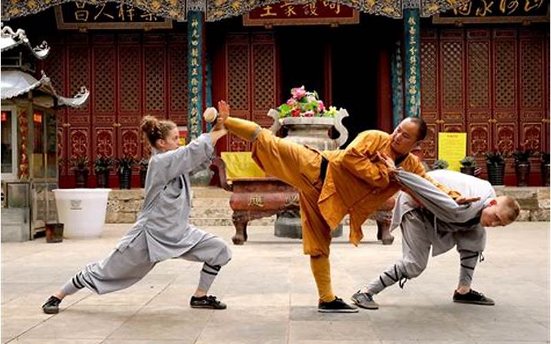 Different Styles Of Chinese Gung Fu