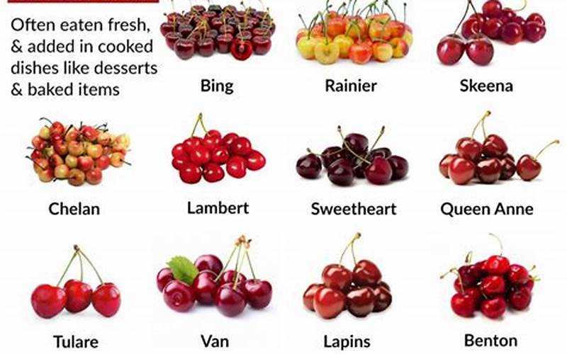 Different Types Of Cherries
