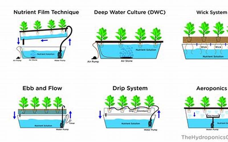 how to set up a hydroponic system