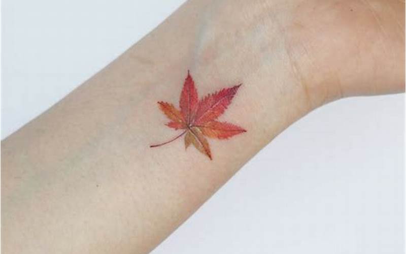 Different Types Of Japanese Maple Leaf Tattoos