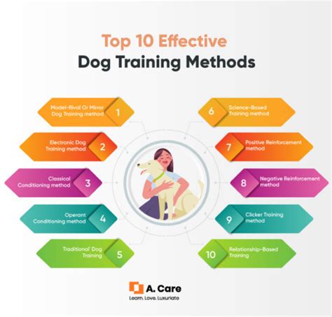 Top 10 Effective Dog Training Methods A Complete Guide on Dog Training