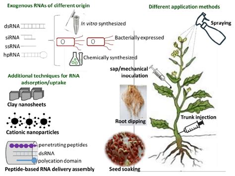 Different Application Methods