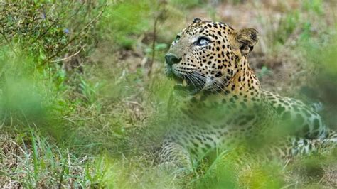 Different Discovery Tour