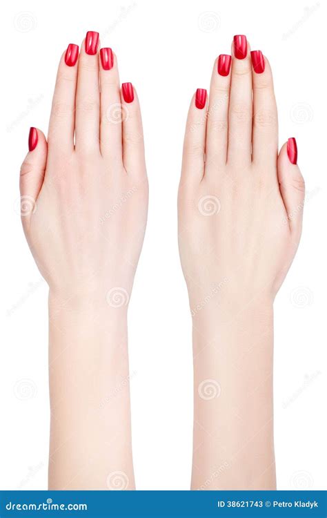 Different Female Hands Beautiful Manicure
