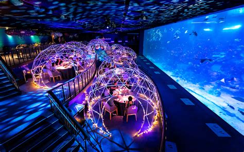 Different Food Experiences