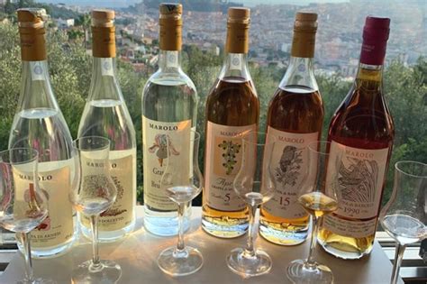 Different Grappa Varieties