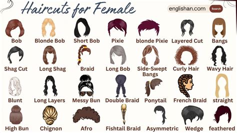 Different Hairstyle Types